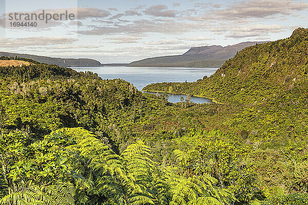 Lake Tarawera  Rotorua  Nordinsel  Neuseeland  Pazifik