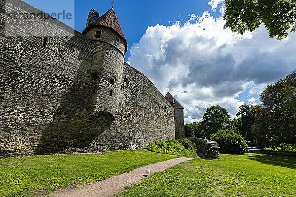Stadtmauern von Tallinn  UNESCO-Weltkulturerbe  Estland  Europa