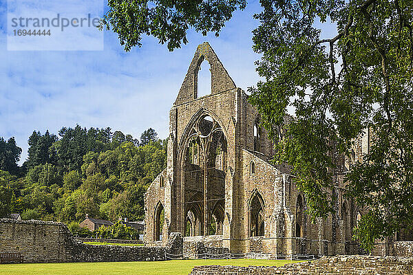 Tintern Abbey  Tintern  Wye Valley  Monmouthshire  Wales  Vereinigtes Königreich  Europa
