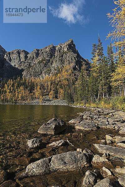 Arnika-See im Herbst mit Lärchen und Bergen  Banff National Park  UNESCO Weltkulturerbe  Alberta  Kanadische Rockies  Kanada  Nordamerika