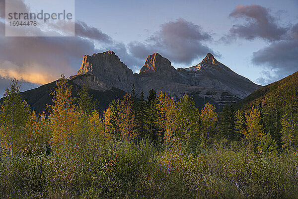 Sonnenaufgang im Herbst bei Three Sisters Peaks in der Nähe von Banff National Park  Canmore  Alberta  Kanadische Rockies  Kanada  Nordamerika