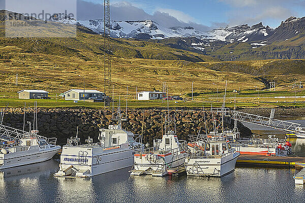 Fischerboote im Hafen von Grundarfjordur  mit einer Bergkulisse  auf der Halbinsel Snaefellsnes  Westisland  Polarregionen