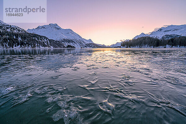 Im Eis gefangene Äste unter der gefrorenen Oberfläche des Silsersees bei Sonnenuntergang  Engadin  Kanton Graubünden  Schweiz  Europa