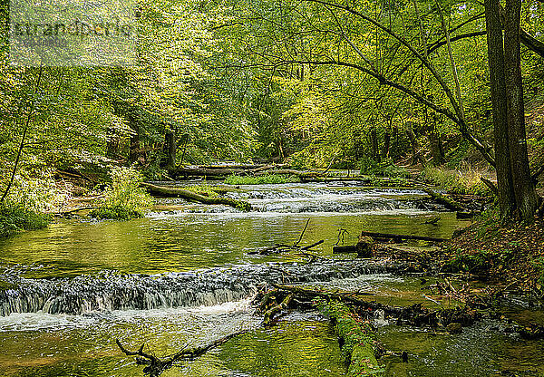 Kaskaden am Fluss Tanew  Szumy nad Tanwia  Naturschutzgebiet Tanew  Roztocze  Woiwodschaft Lublin  Polen  Europa