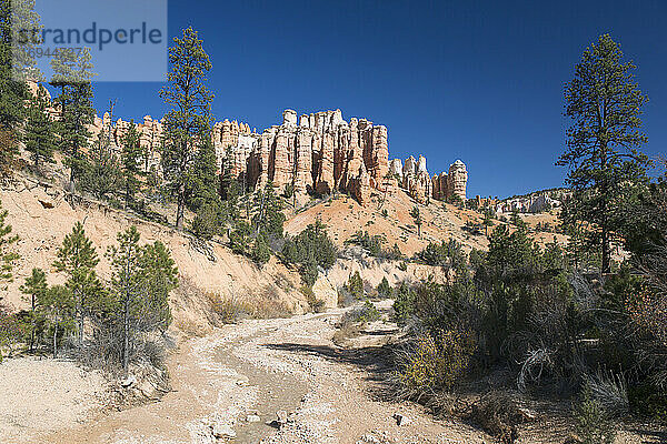 Blick auf typische Fels-Hoodoos vom Mossy Cave Trail  Water Canyon  Bryce Canyon National Park  Utah  Vereinigte Staaten von Amerika  Nord-Amerika