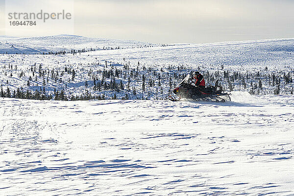 Mann bei einer Fahrt mit dem Schneemobil in der verschneiten Landschaft von Saariselka  Inari  Lappland  Finnland  Europa