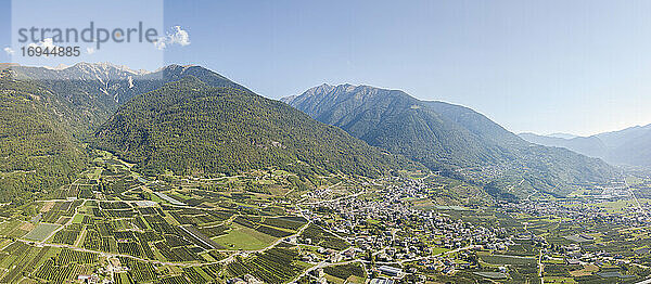Luftbildpanorama von Apfelplantagen zwischen ländlichen Dörfern und Bergen  Valtellina  Provinz Sondrio  Lombardei  Italien  Europa