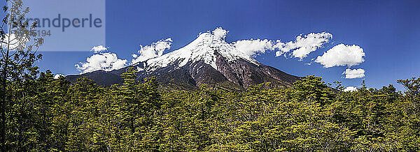 Vulkan Osorno (Volcan Osorno)  Nationalpark Vicente Perez Rosales  Chilenische Seenplatte  Chile