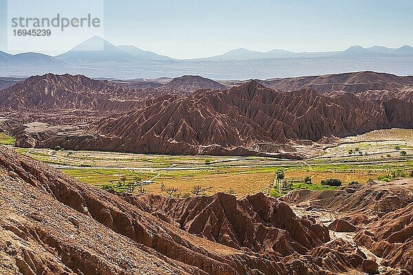 Katarpe-Tal  etwas außerhalb von San Pedro de Atacama  Atacama-Wüste  Nordchile