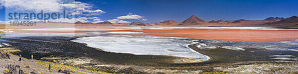 Rote Lagune (Laguna Colorada)  ein Salzsee im Altiplano von Bolivien im Nationalen Reservat der Andenfauna Eduardo Avaroa