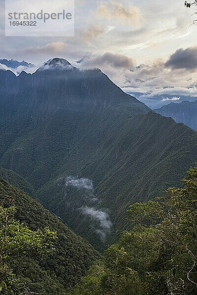 Anden bei Sonnenaufgang auf der Wanderung nach Machu Picchu am letzten Tag des Inkapfades  Region Cusco  Peru