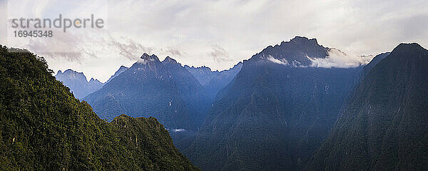 Anden bei Sonnenaufgang auf der Wanderung nach Machu Picchu am letzten Tag des Inkapfades  Region Cusco  Peru