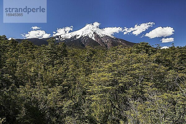 Vulkan Osorno (Volcan Osorno)  Nationalpark Vicente Perez Rosales  Chilenische Seenplatte  Chile