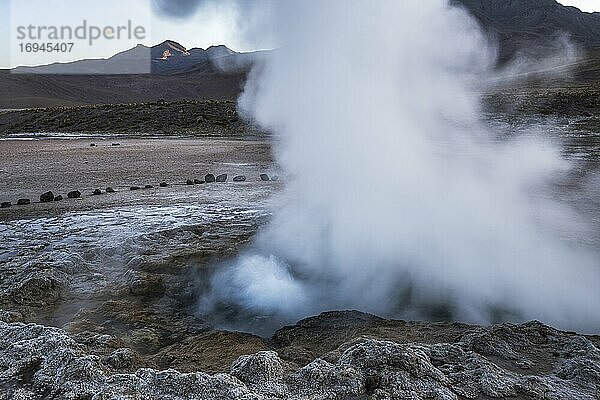 El Tatio Geysire (Geysers del Tatio)  das größte Geysirfeld der südlichen Hemisphäre  Atacama-Wüste  Nordchile