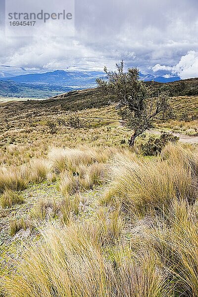 Vulkan Illiniza Norte (einer der beiden Illinizas)  Provinz Pichincha  Ecuador
