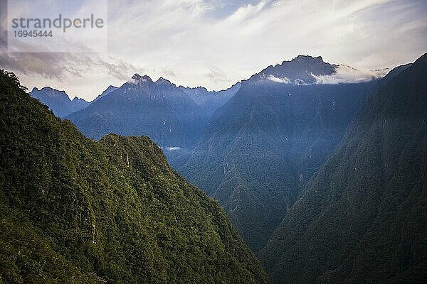 Anden bei Sonnenaufgang auf der Wanderung nach Machu Picchu am letzten Tag des Inkapfades  Region Cusco  Peru