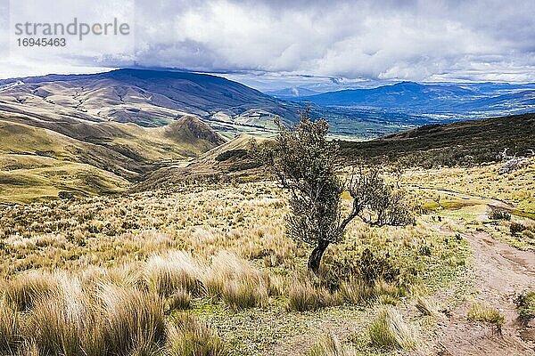 Vulkan Illiniza Norte (einer der beiden Illinizas)  Provinz Pichincha  Ecuador