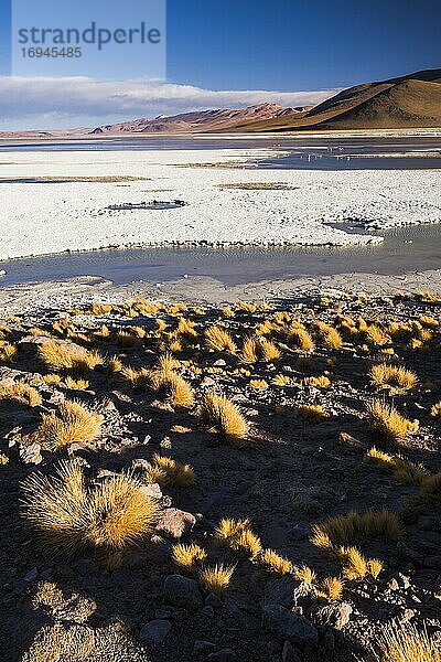 Chalviri-Salzwüste (Salar de Chalviri)  Altiplano von Bolivien im Nationalen Reservat der Andenfauna Eduardo Avaroa