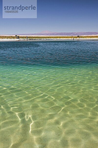 Laguna Cejar (auch schwimmende Salzlagune genannt)  Atacama-Wüste  Nordchile