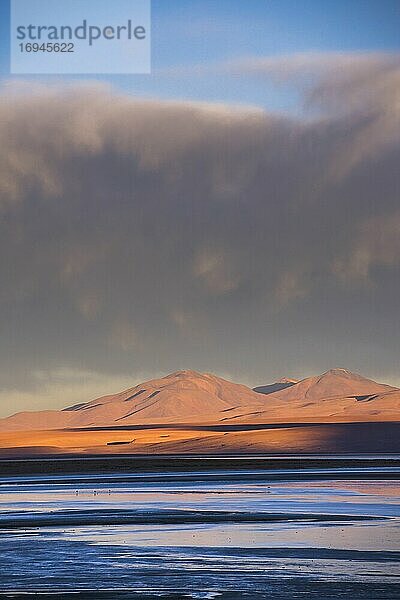 Sunste im Salar de Chalviri  Altiplano von Bolivien im Nationalen Reservat der Andenfauna Eduardo Avaroa