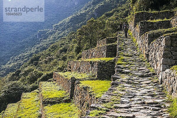 Inka-Terrassen bei den Inka-Ruinen von Machu Picchu  Region Cusco  Peru