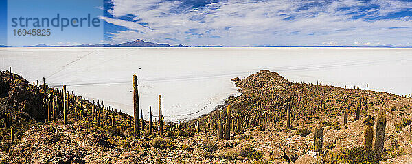 Salzwüste von Uyuni (Salar de Uyuni) von der mit Kakteen bewachsenen Fischinsel (Isla Incahuasi oder Inka Wasi) aus gesehen  Uyuni  Bolivien