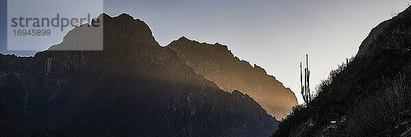 Kaktus als Silhouette im Colca Canyon bei Sonnenuntergang  Peru