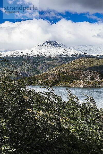 Grauer See (Lago Grey)  Nationalpark Torres del Paine  Patagonien  Chile