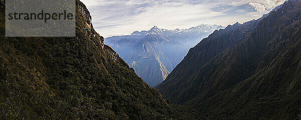 Anden am 3. Tag des Inka-Trails  Region Cusco  Peru