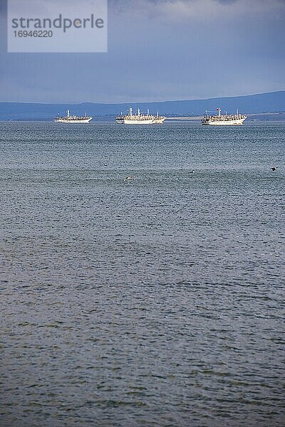 Hafen in Punta Arenas  Region Magallanes und Antartica Chilena  Chilenisches Patagonien  Chile