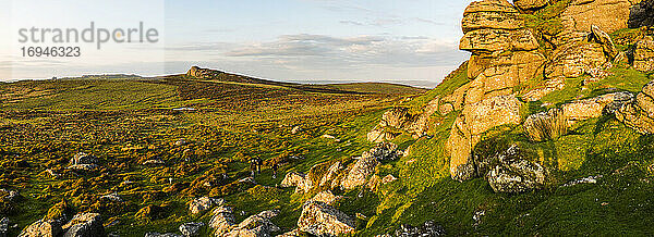 Tor in Dartmoor National Park  Devon  England  Vereinigtes Königreich