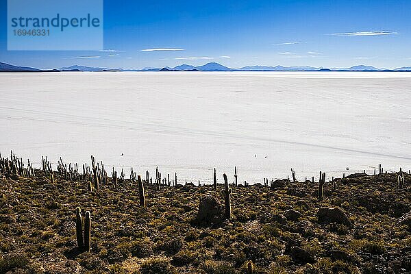 Die Salzwüste von Uyuni (Salar de Uyuni) von der mit Kakteen bewachsenen Fischinsel (Isla Incahuasi oder Inka Wasi)  Uyuni  Bolivien