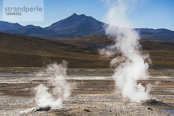 El Tatio Geysire (Geysers del Tatio)  das größte Geysirfeld der südlichen Hemisphäre  Atacama-Wüste  Nordchile