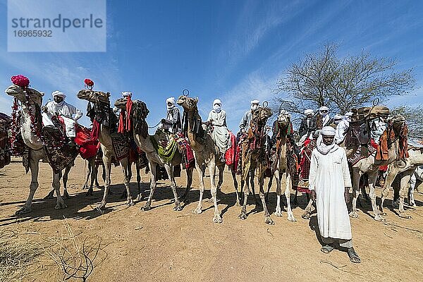 Bunte Kamelreiter bei einem Trribal-Festival  Sahel  Tschad  Afrika