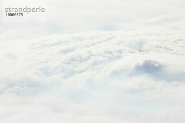 Nebelmeer  Schweiz  Europa