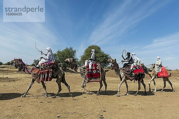 Reiter mit geschmückten Kamelen auf einem Stammesfest  Sahelzone  Tschad  Afrika