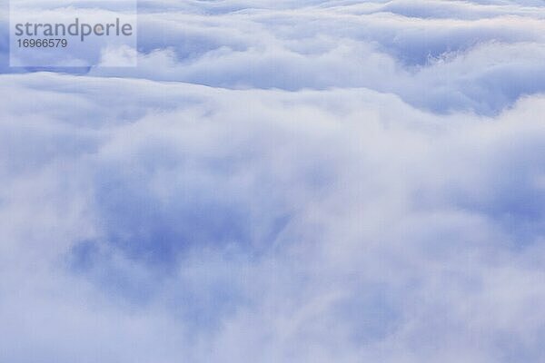 Nebelmeer  Schweiz  Europa