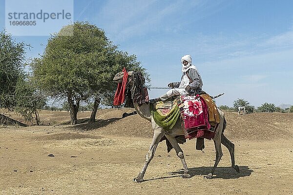Reiter mit einem bunt geschmückten Kamel auf einem Stammesfest  Sahelzone  Tschad  Afrika