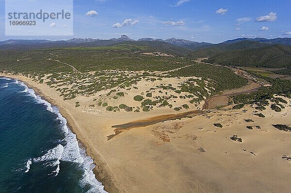 Sanddünen Dune di Piscinas  Costa Verde  Sardinien  Italien  Europa