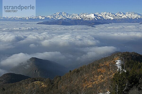 Verschneite Bergkette mit Monte Rosa Massiv erhebt sich über Wolkenmeer  Ausblick von Monte Lema  Luino  Lombardei  Italien  Schweiz  Europa