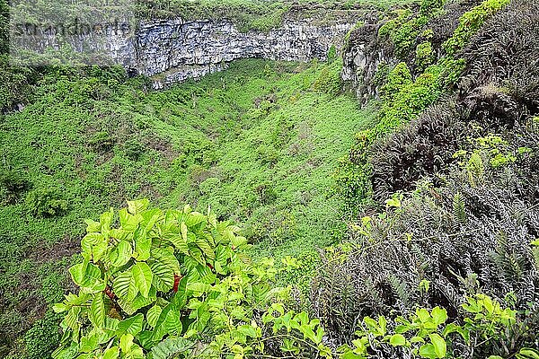 Zwillingskrater  Los Gemelos  Twin Craters  Insel Santa Cruz  Galapagos  Ecuador  Südamerika