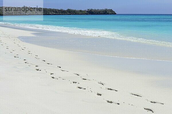 Fußspurten am weißen Sandstrand  Garnder Bay  Insel Española  Galapagos  Ecuador  Südamerika