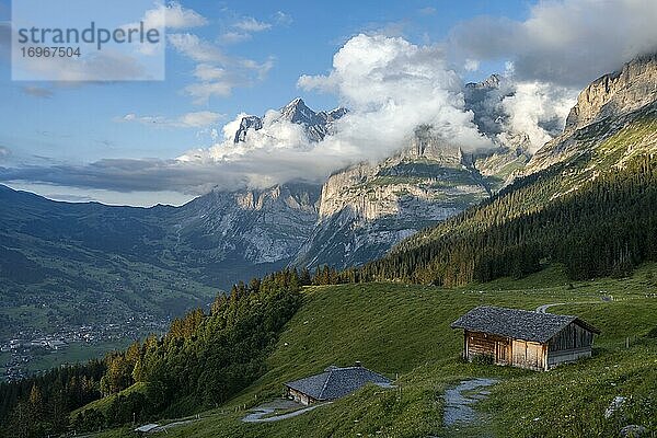 Abendstimmung  Weg führt zu Berghütten  Alm  Pfingstegg  hinten Gipfel des Wetterhorn  Jungfrauregion  Grindelwald  Bern  Schweiz  Europa