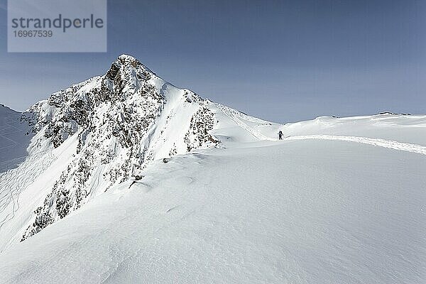 Skitourengeherin mit Aufstiegsspur  Zischgeles  Stubaier Alpen  Tirol  Österreich  Europa