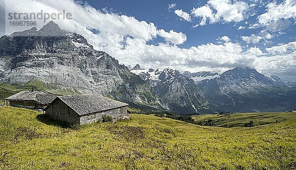 Berghütten  Alm  Pfingstegg  links Eiger Nordwand und Jungfraujoch  Jungfrauregion  Grindelwald  Bern  Schweiz  Europa