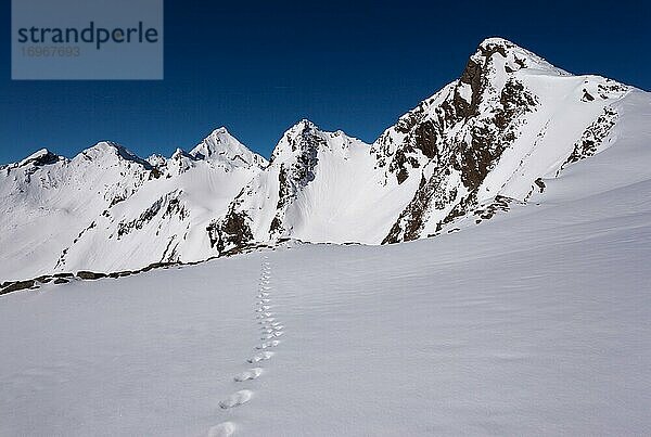 Spuren im Schnee  Ausblick auf Zischgeles  Stubaier Alpen  Tirol  Österreich  Europa