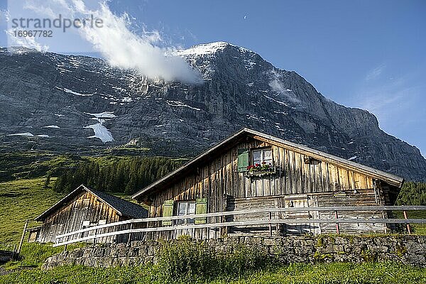 Berghüttee  Alm  Pfingstegg  hinten Eiger Nordwand  Jungfrauregion  Grindelwald  Bern  Schweiz  Europa