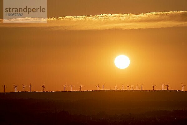 Windkrafträder stehen auf einer Anhöhebei Sonnenaufgang  Timmenrode  Sachsen-Anhalt  Deutschland  Europa