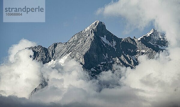 Blick vom Pfingstegg auf Gipfel des Wetterhorn  Jungfrauregion  Grindelwald  Bern  Schweiz  Europa