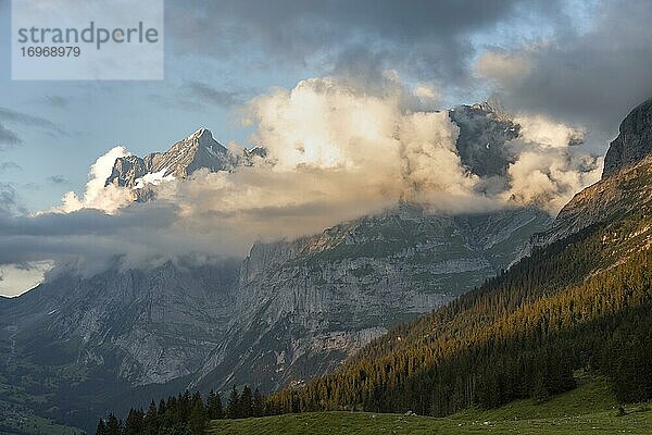 Blick vom Pfingstegg  Wolken um den Gifel des Chrinnenhorn und Wetterhorn  Abendlicht  Jungfrauregion  Grindelwald  Bern  Schweiz  Europa